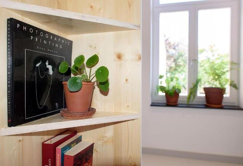 Четырехместный Номер Стандарт, The Green Elephant Hostel & Spa