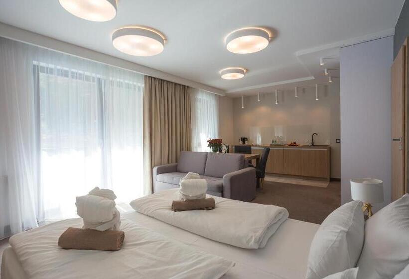 Апартаменты Комфорт 1 Спальня, Czarny Kamień Resort & Spa