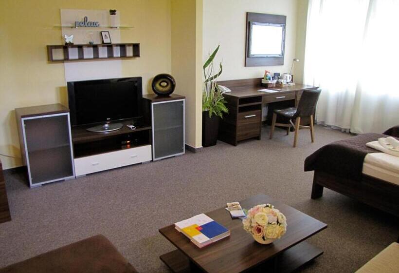 شقة سوبريور غرفة واحدة, Grand Hotel Senica, Garni