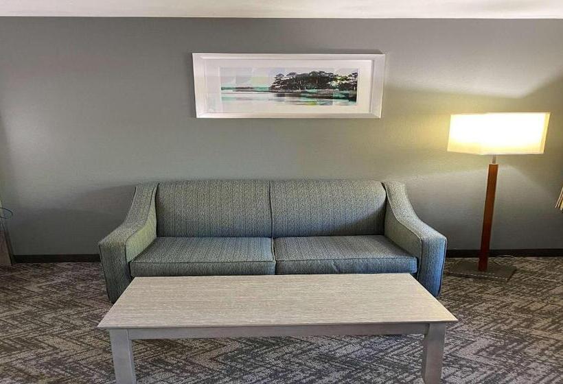 חדר סטנדרט עם מיטת קינג, Best Western Apalach Inn