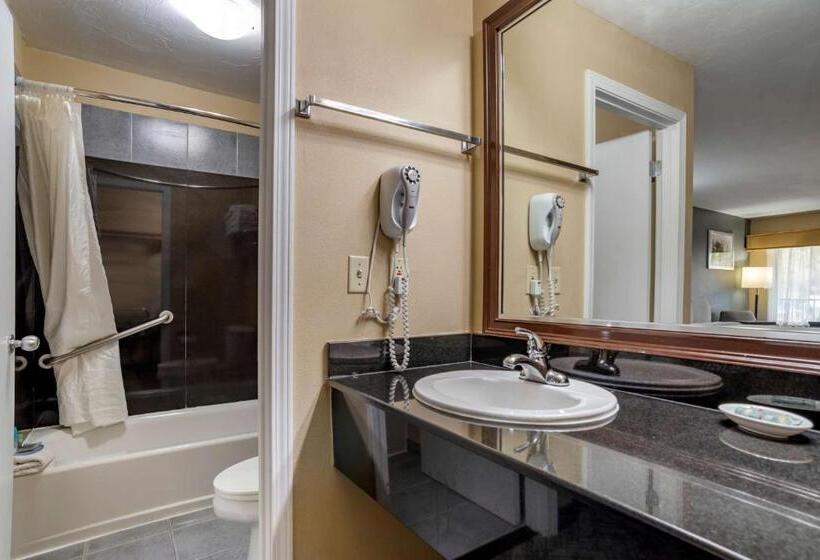 חדר סטנדרט עם מיטת קינג, Best Western Apalach Inn