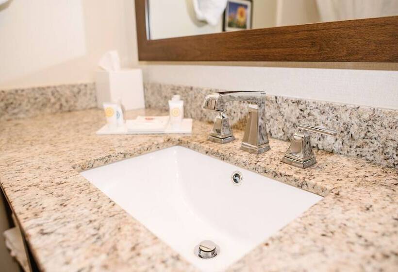 스위트, Best Western Buffalo Ridge Inn Near Mt Rushmore