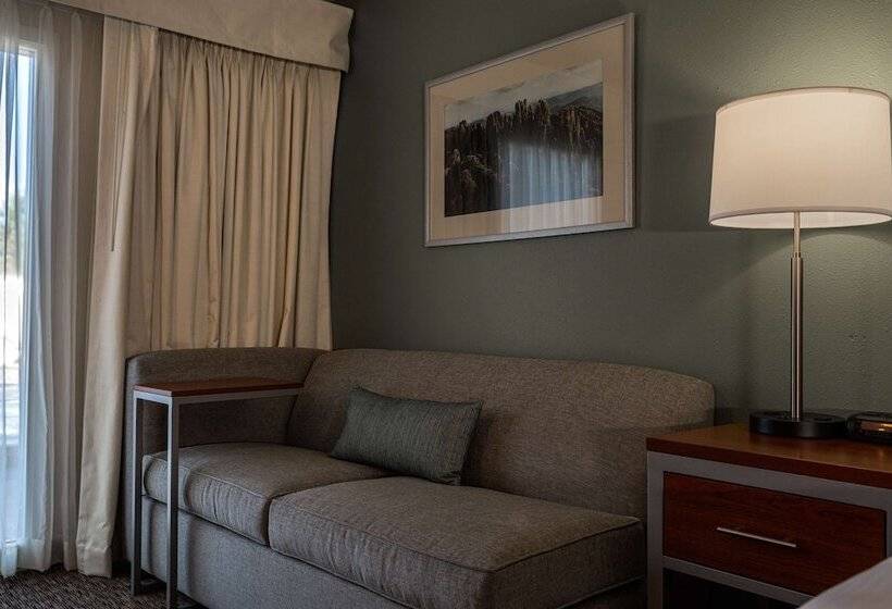 스위트, Best Western Buffalo Ridge Inn Near Mt Rushmore