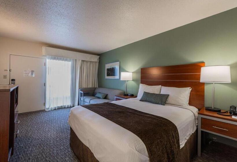 스탠다드 룸 킹사이즈 침대, Best Western Buffalo Ridge Inn Near Mt Rushmore