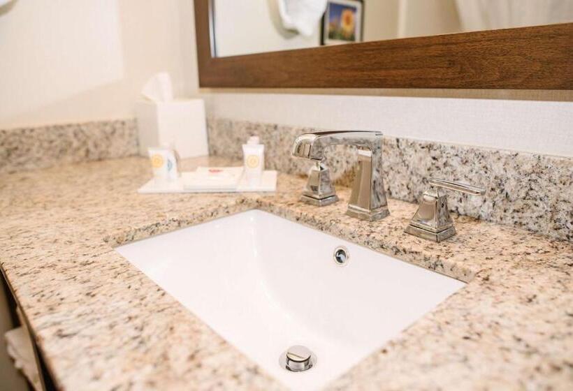 스위트, Best Western Buffalo Ridge Inn Near Mt Rushmore