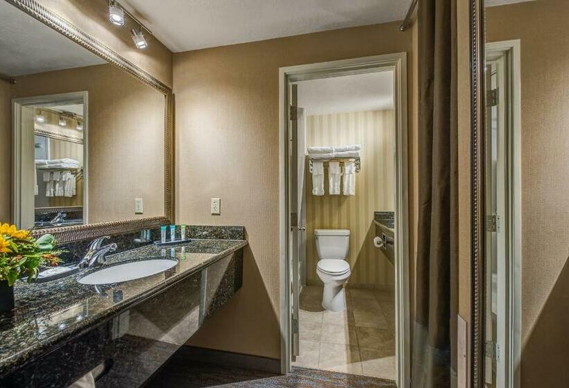 Номер Стандарт, Best Western Plus Canyonlands Inn