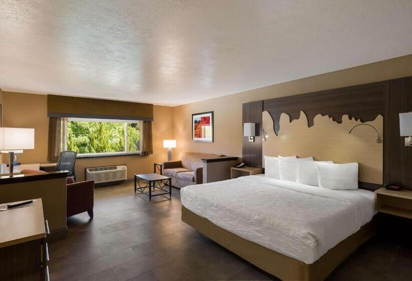 Номер Стандарт Кровать Кинг Адаптированный для Инвалидов, Best Western Plus Canyonlands Inn