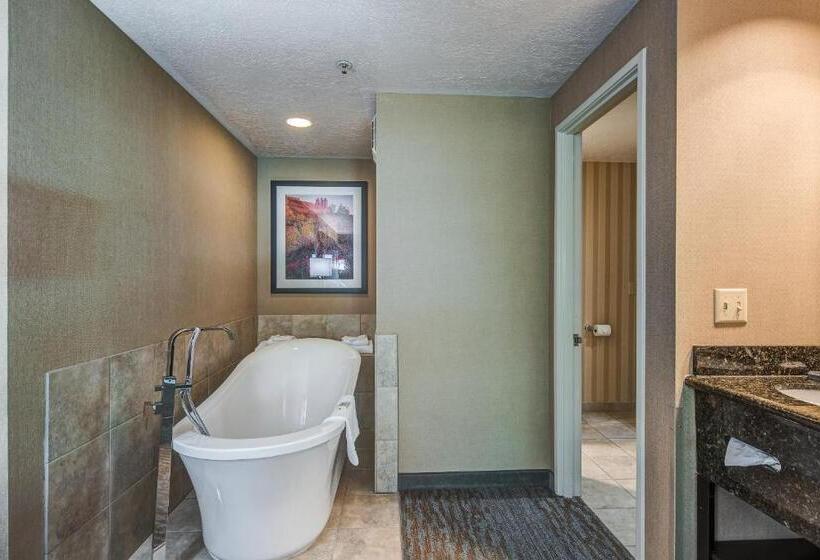 Президентский Люкс, Best Western Plus Canyonlands Inn