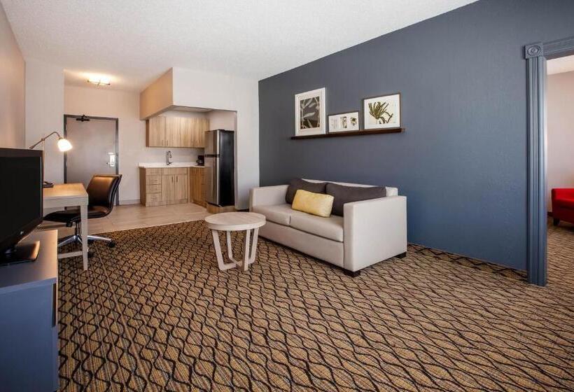Люкс Кровать Кинг, Days Inn & Suites By Wyndham Rochester Hills Mi
