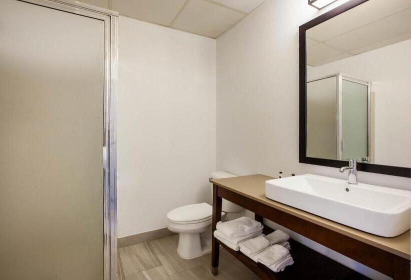Номер Стандарт, Days Inn & Suites By Wyndham Rochester Hills Mi