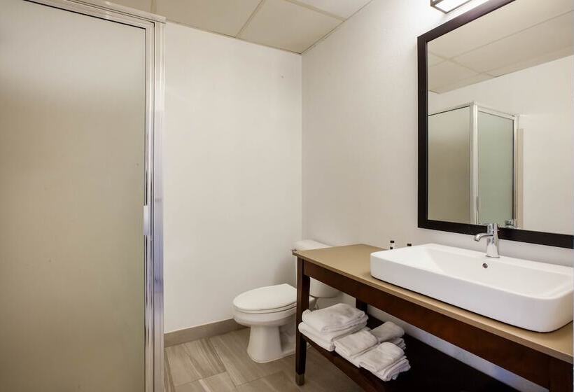 Люкс Повышенной Комфортности, Days Inn & Suites By Wyndham Rochester Hills Mi