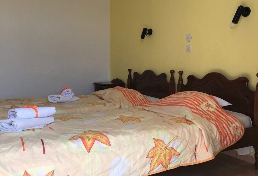 이코노미 룸, Angela   Zoi Rooms