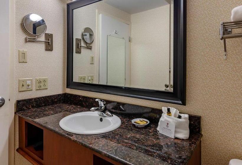 חדר סטנדרט עם מיטת קינג, Best Western Plus Inn At Hunt Ridge