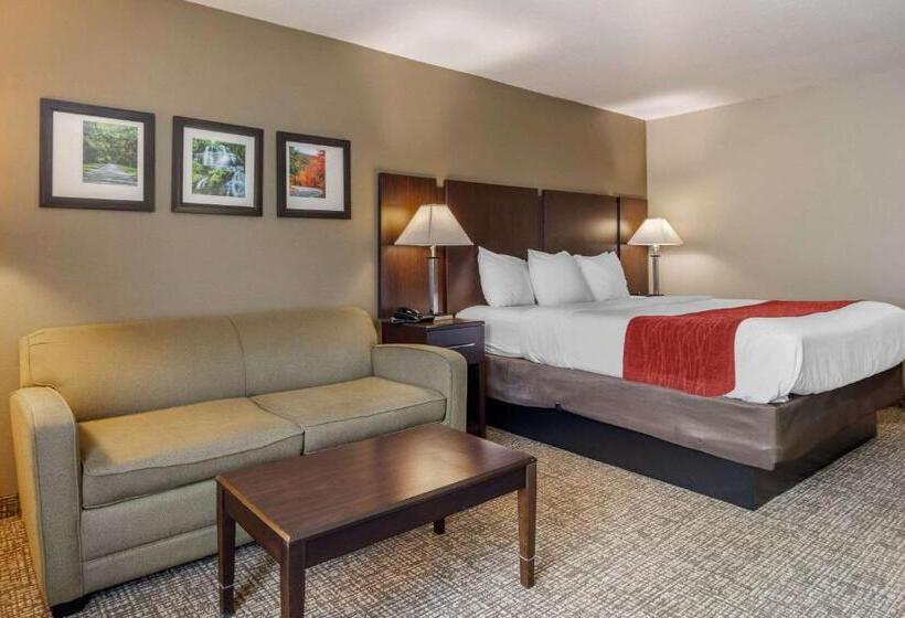 Номер Стандарт Кровать Кинг Адаптированный для Инвалидов, Comfort Inn & Suites Perry National Fairgrounds Area
