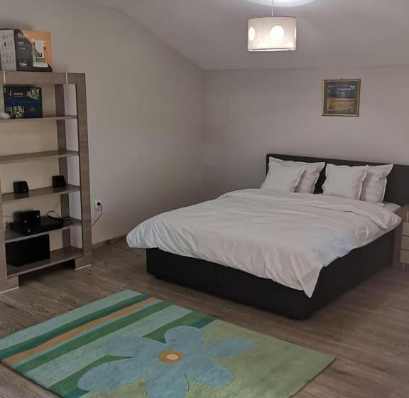 استودیو استاندارد با بالکن, Viking Apartment Grigo