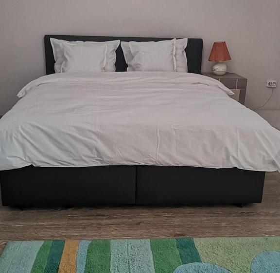 استودیو استاندارد با بالکن, Viking Apartment Grigo
