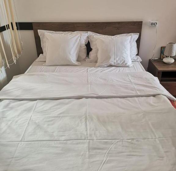 استودیوی استاندارد, Viking Apartment Grigo