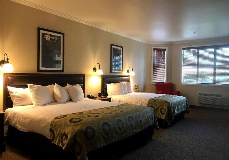 Номер Стандарт, Best Western Wesley Inn & Suites