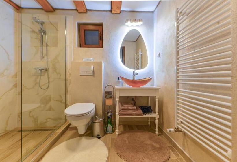 اتاق سوپریور با تخت بزرگ, Flori Haus Saschiz