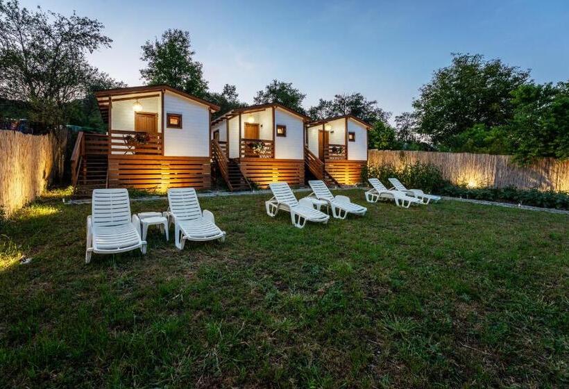 ویلای 1 خوابه, Flori Haus Saschiz
