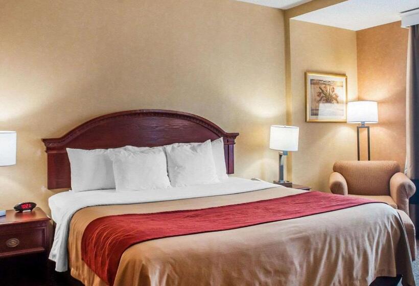 Стандартный Номер Кровать Кинг, Quality Inn Near Walden Galleria Mall