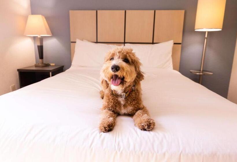 Люкс Адаптированный для Инвалидов, Sonesta Simply Suites Irvine East Foothill