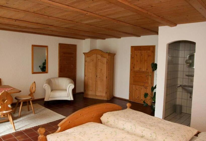 Номер Стандарт, Pension Steiger