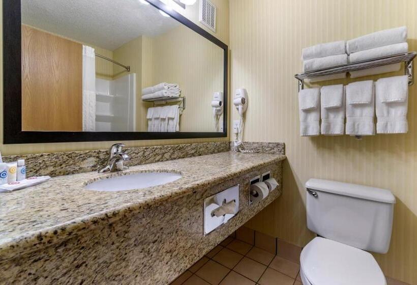 חדר סטנדרט, Comfort Inn & Suites Bothell   Seattle North