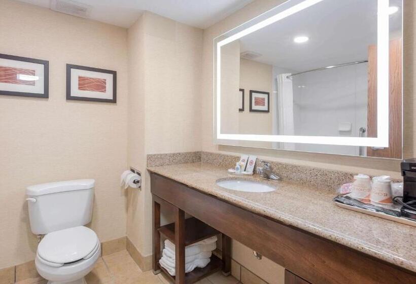 Номер Стандарт, Comfort Inn Grove City  Columbus South