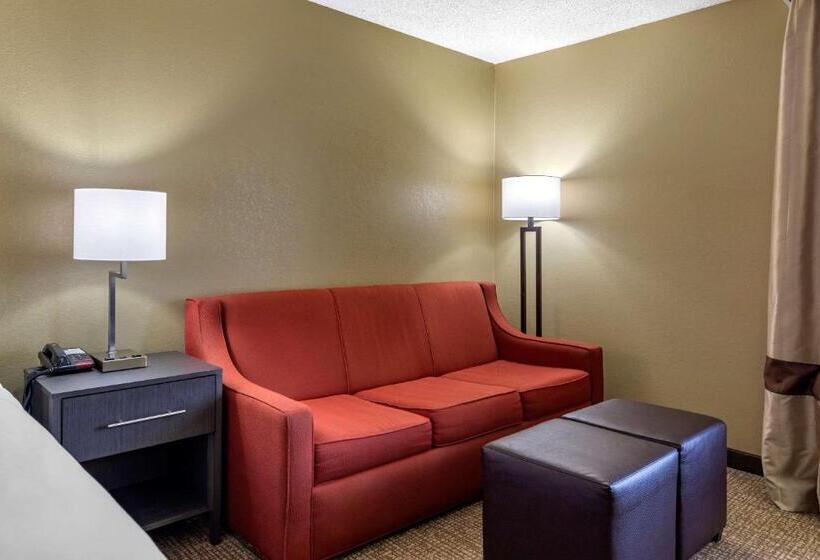 Стандартный Номер Кровать Кинг, Comfort Inn Opelika  Auburn