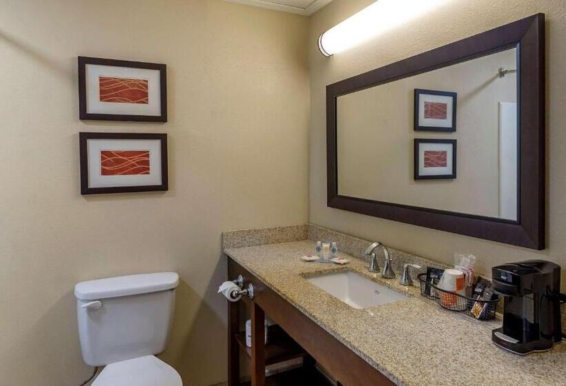 Стандартный Номер Кровать Кинг, Comfort Inn Opelika  Auburn