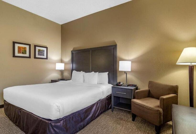 Номер Стандарт Кровать Кинг Адаптированный для Инвалидов, Comfort Inn Opelika  Auburn