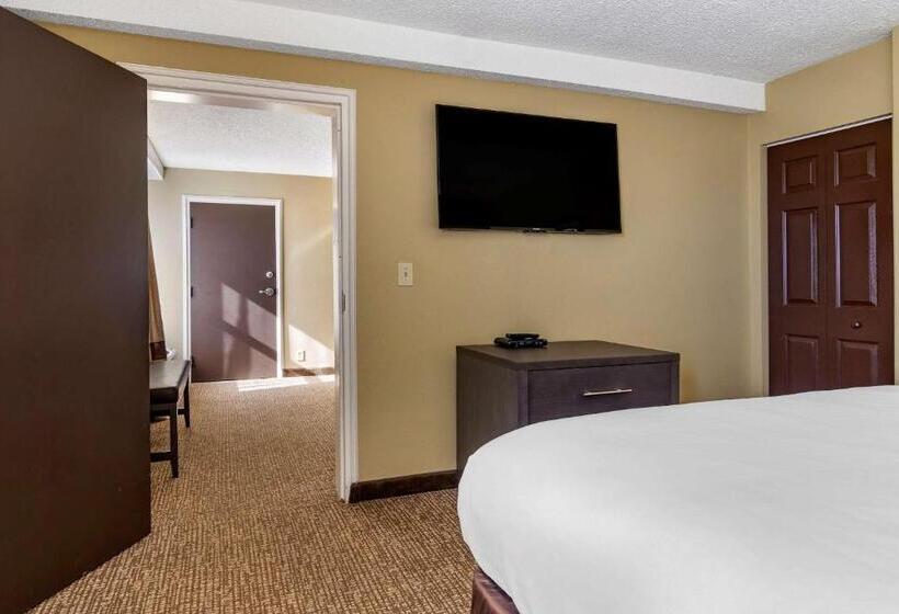 Люкс Кровать Кинг, Comfort Inn Opelika  Auburn