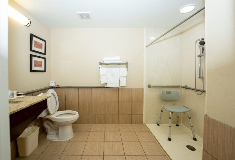 Люкс Адаптированный для Инвалидов, Comfort Inn Opelika  Auburn