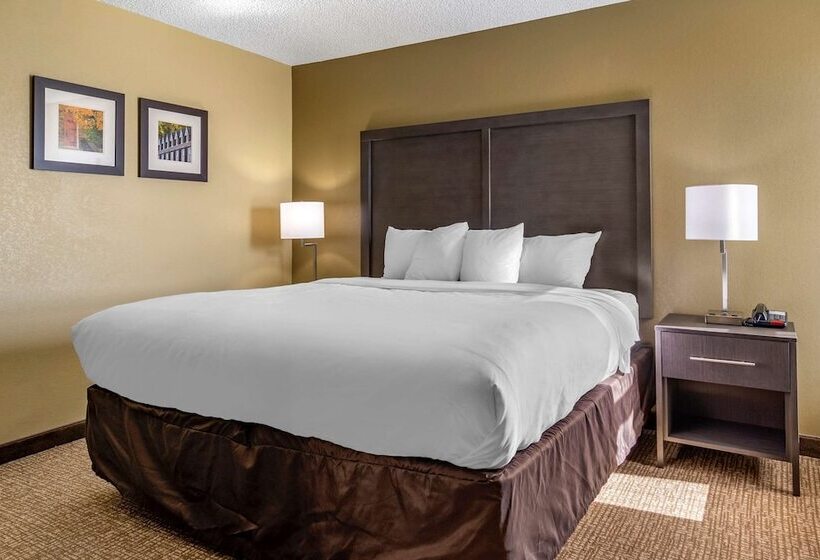 Люкс Адаптированный для Инвалидов, Comfort Inn Opelika  Auburn