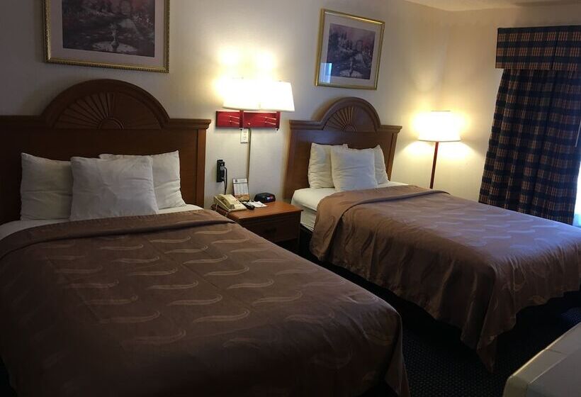 Номер Стандарт 2 Двуспальные Кровати, Quality Inn I94 Near Wings Stadium