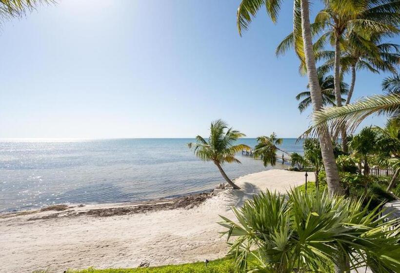 海の見えるスタンダードスタジオ, Grassy Flats Resort & Beach Club