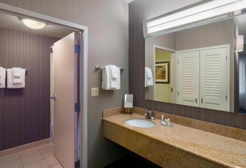 Стандартный Номер Кровать Кинг, Courtyard By Marriott Scranton Montage Mountain