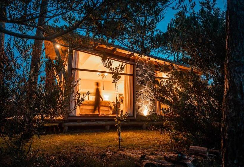 디럭스 방갈로, Bella Bungalows