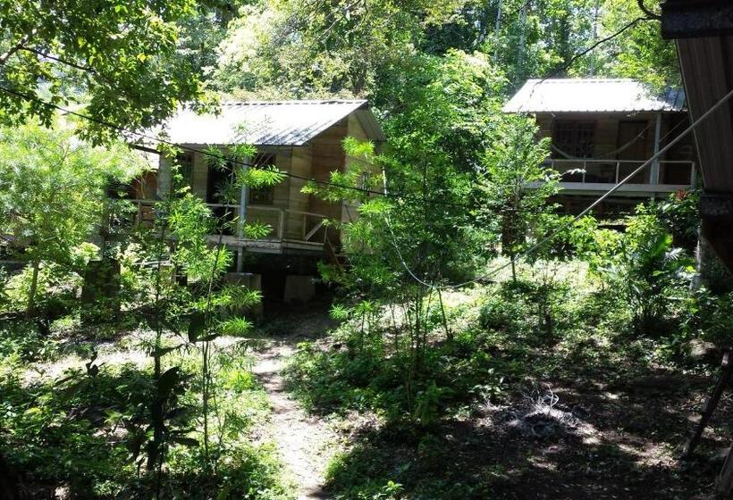 Номер Стандарт Совместная Ванная, Olala Café & Bungalows