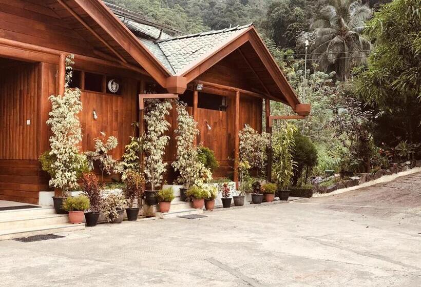 스탠다드 룸 공동 욕실, Cottage 2010