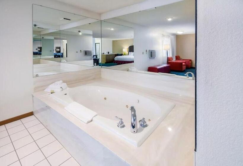 Люкс Deluxe Кровать Кинг, Alliance Hotel And Suites
