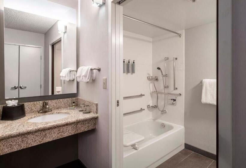 Номер Стандарт, Courtyard Denver Southwest/lakewood
