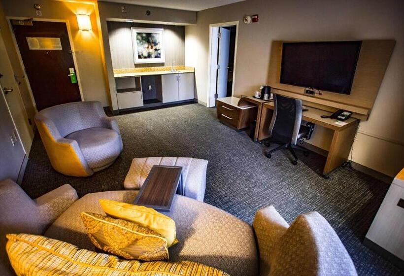 Suite Lit King, Courtyard Memphis East/bill Morris Parkway