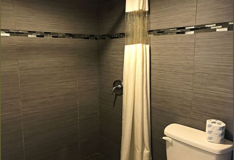 חדר סטנדרט שתי מיטות זוגיות, Stay Inn   Bartow