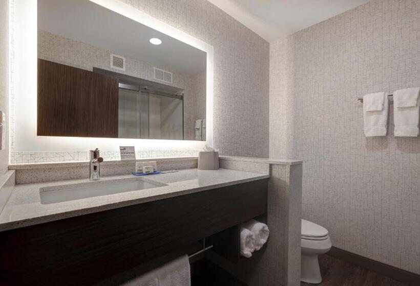套房, Holiday Inn Express & Suites   Ann Arbor   University South, An Ihg