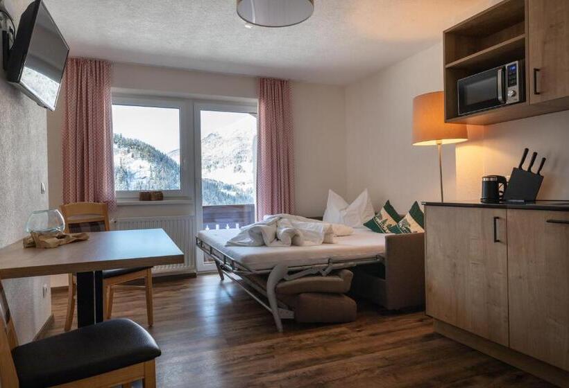 Апартаменты 1 Спальня, Pitztal Living