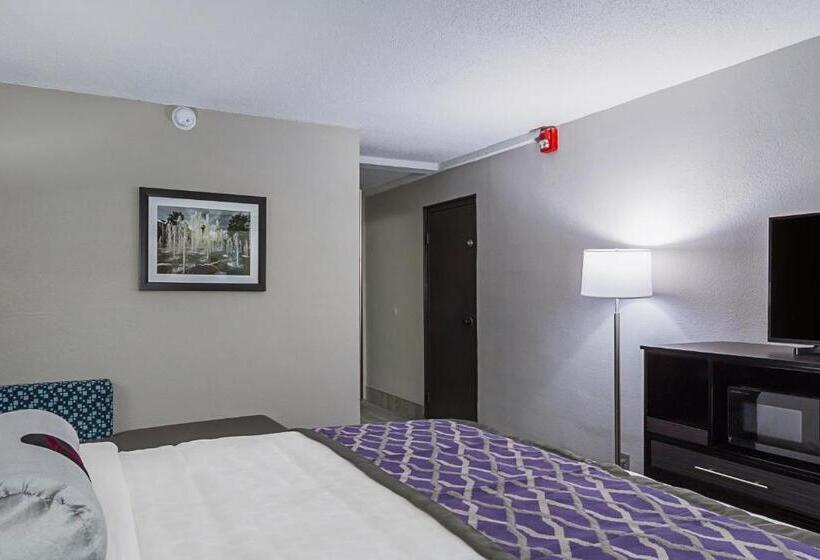 Pokój Standard Łóżko King Size, Clarion Inn & Suites Near Downtown