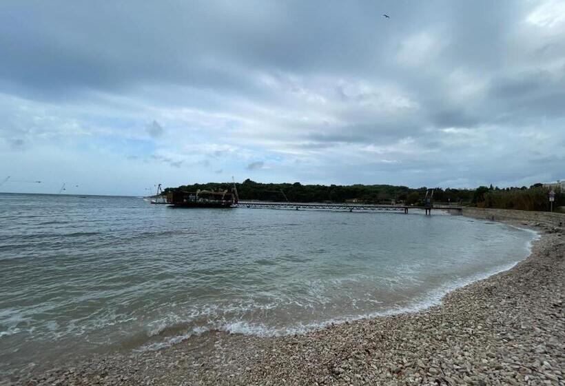 اتاق خانوادگی, Bb Ld