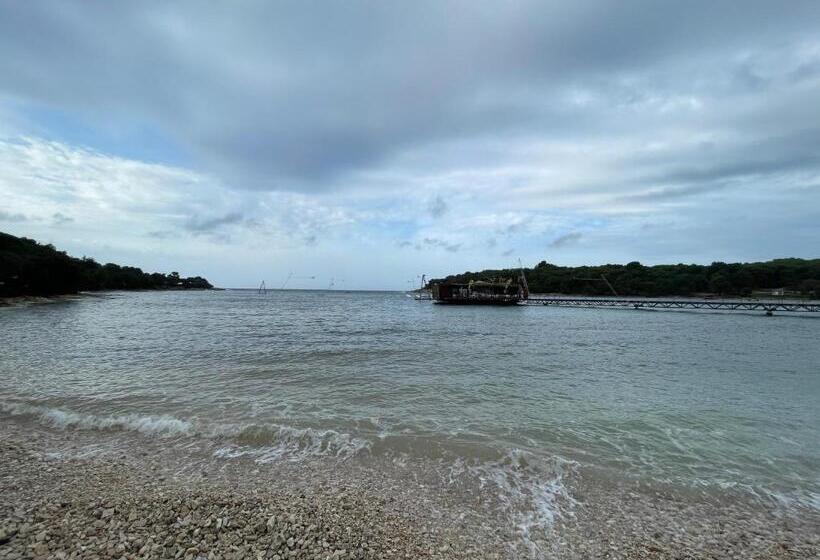 آپارتمان 1 خوابه با بالکن, Bb Ld